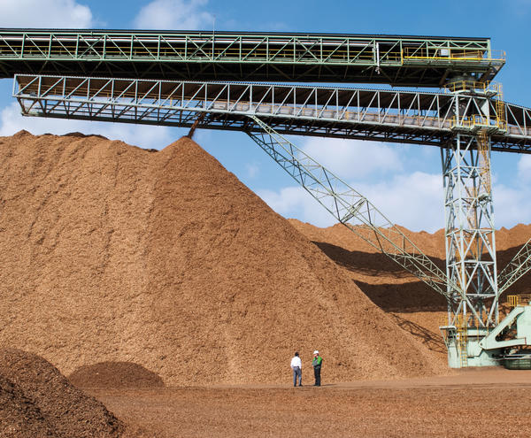 Production-wood-chips