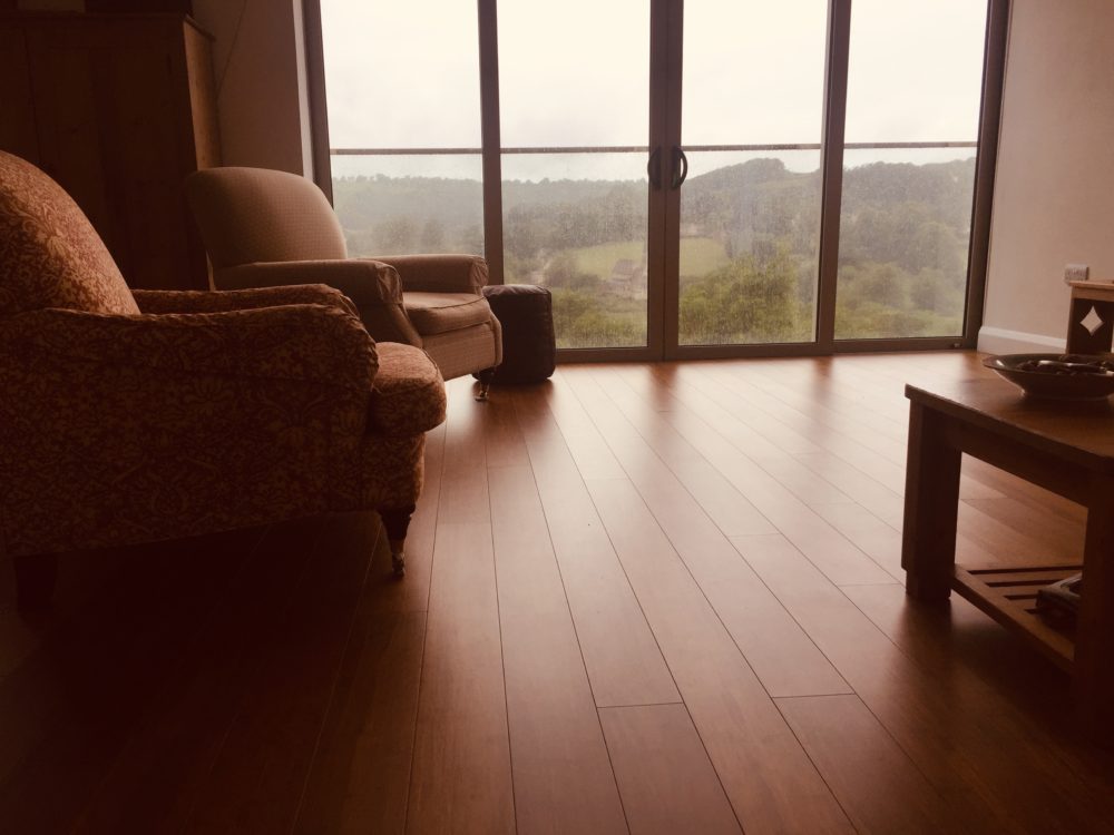 Room with a view, and of course our bamboo flooring