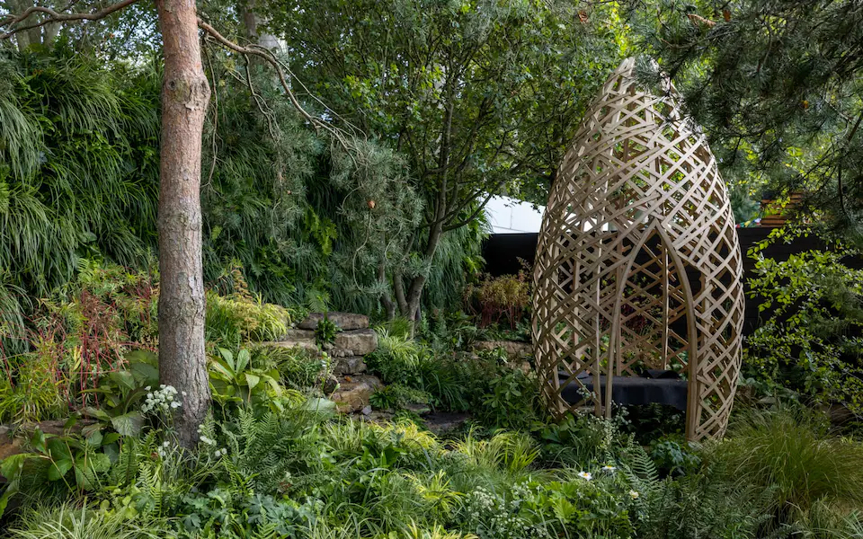 Our Bamboo helps win Gold & best in show at Chelsea Flower show 2021